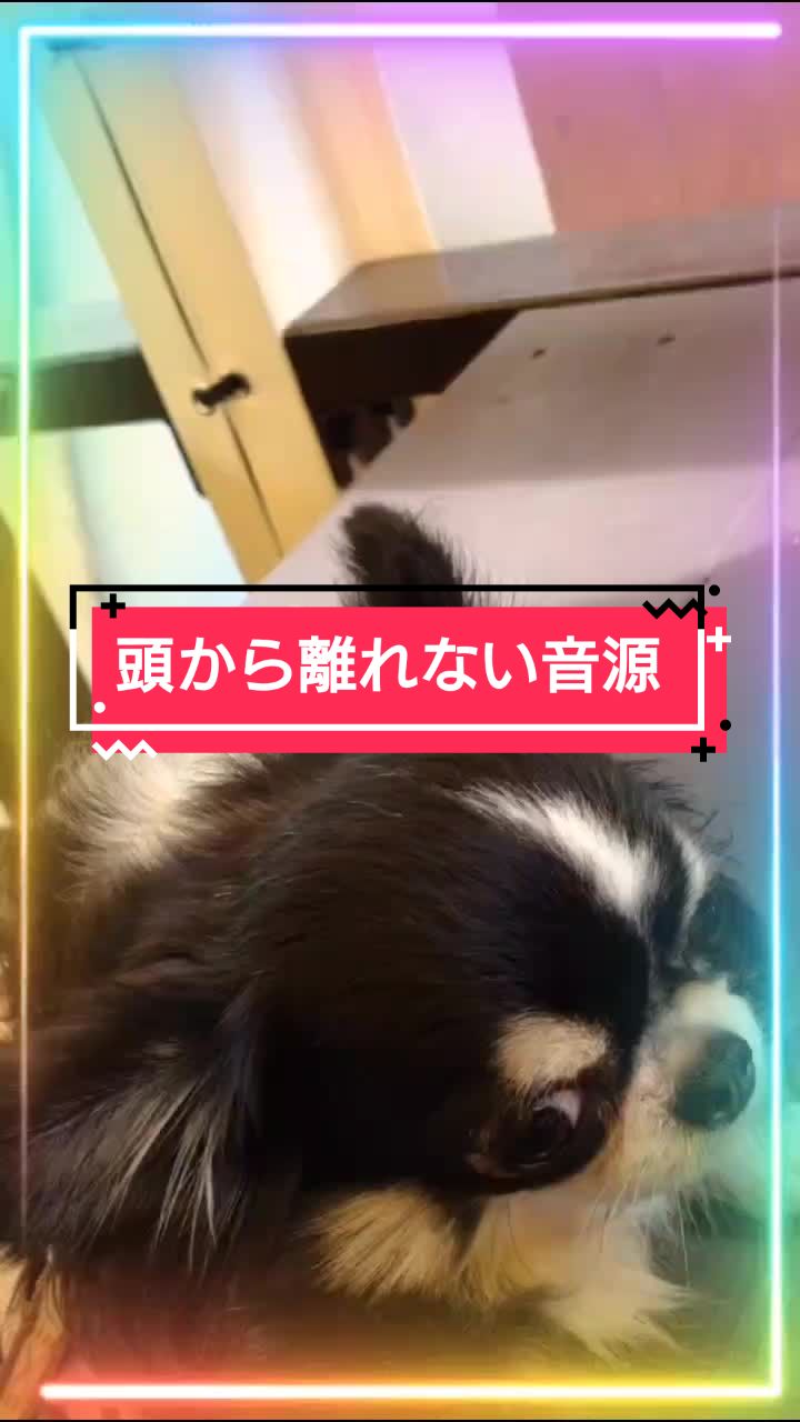 @ニンニン🐶🩵🍀