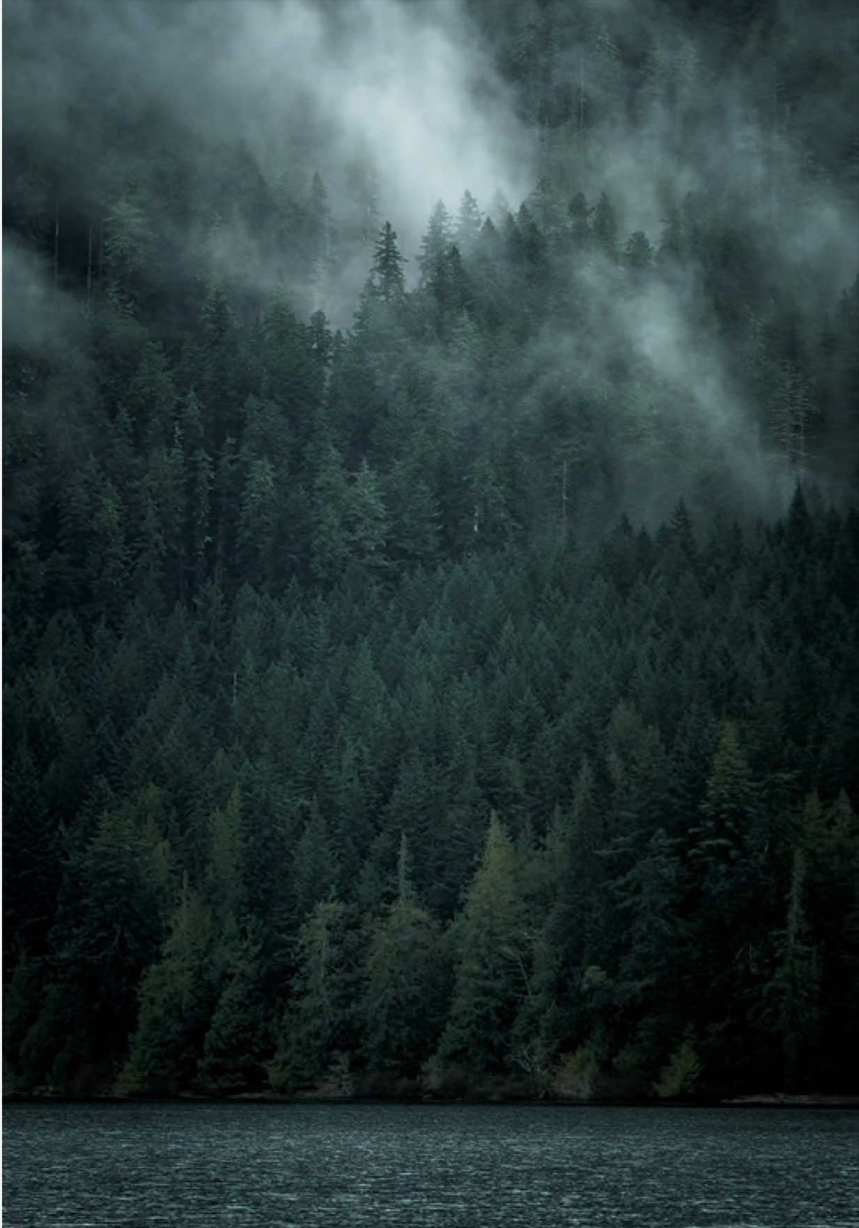 @Jordan PNW Adventures