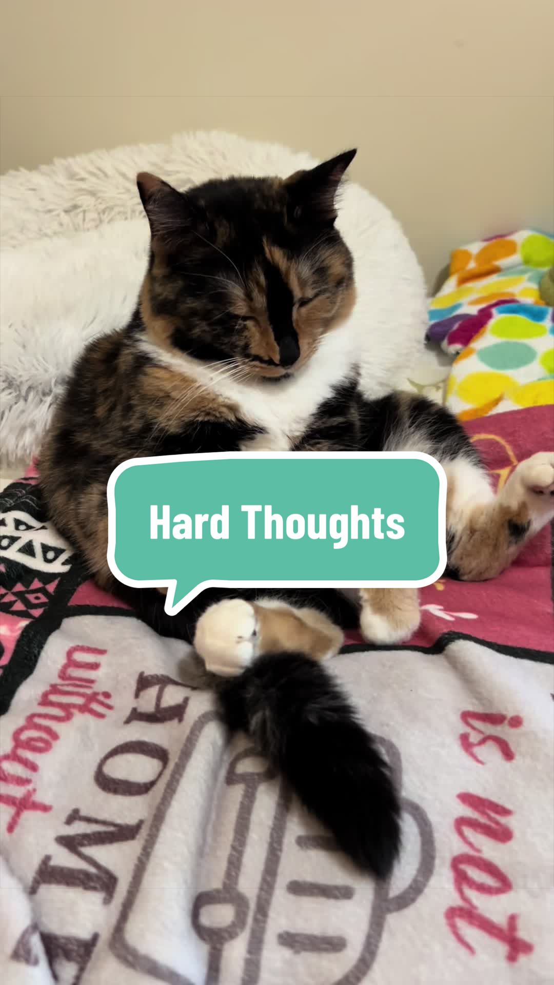 @SnickersTheSmilingCat