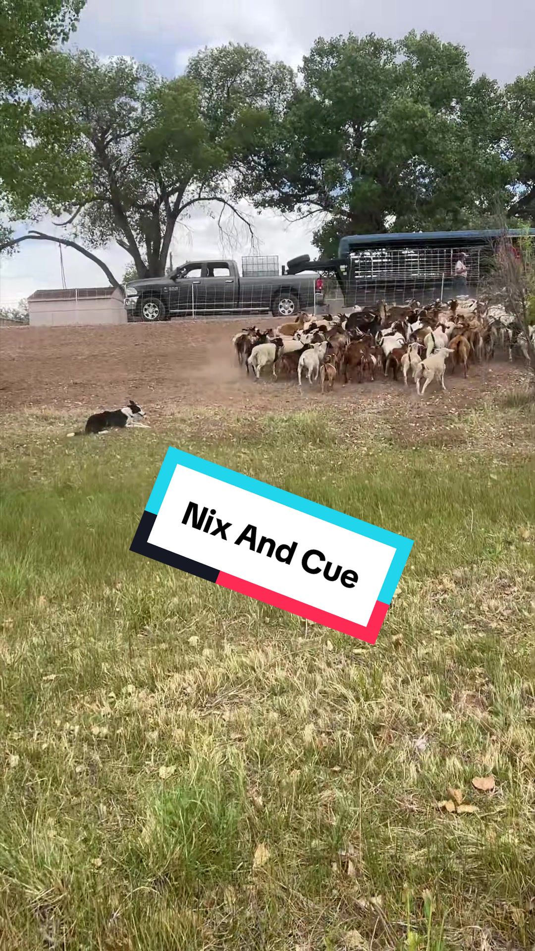 @cowboymax