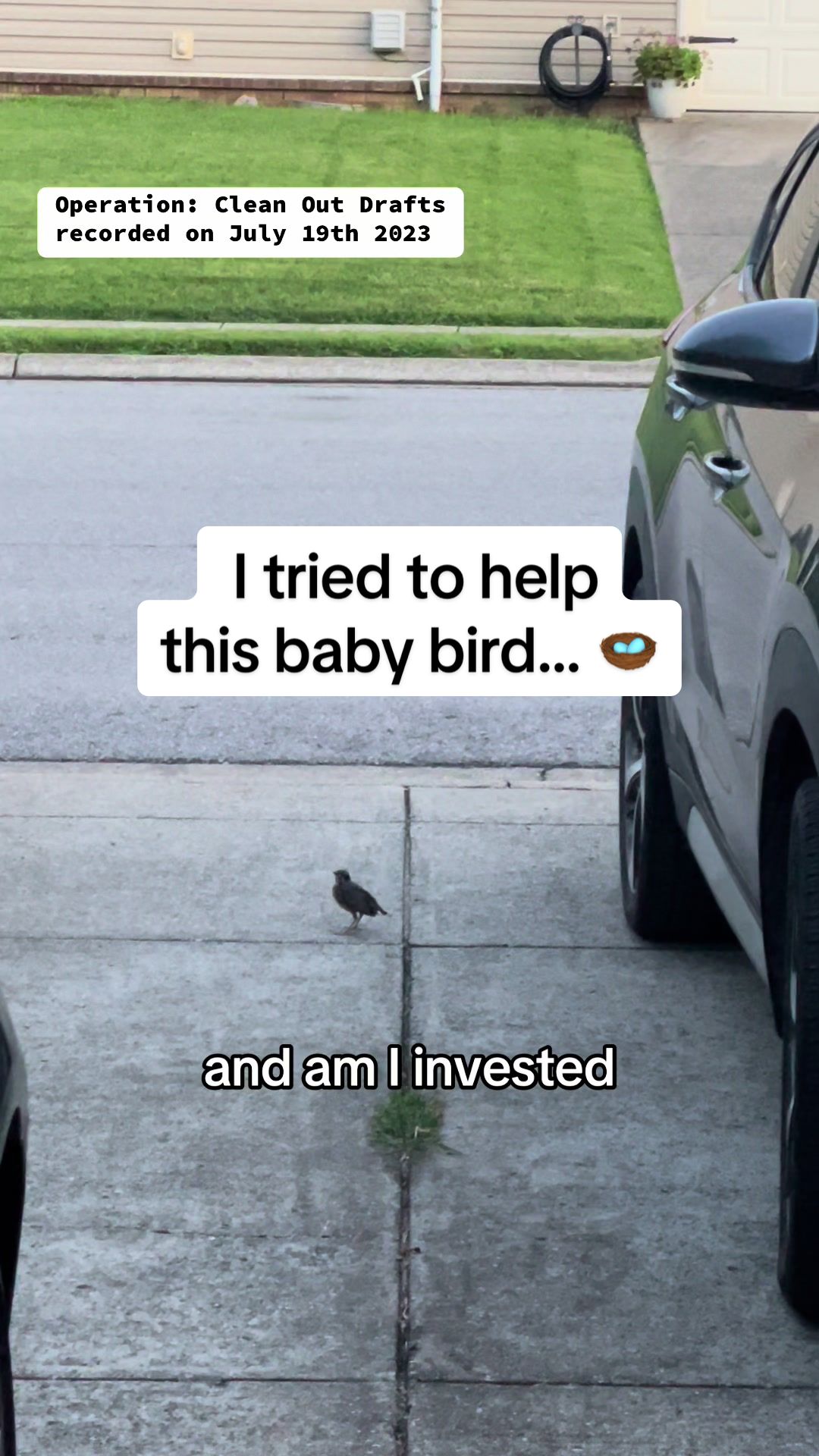 @authentiffity