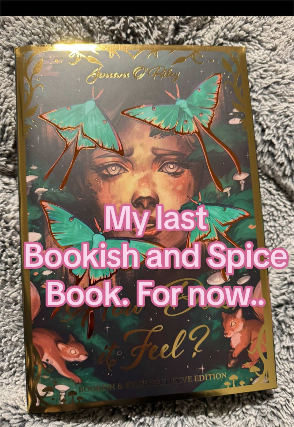 @📖 ᖭི༏ᖫྀꉔꫀᥴ𝓲ꪶ𝓲ꪖ ᖭི༏ᖫྀ 📖