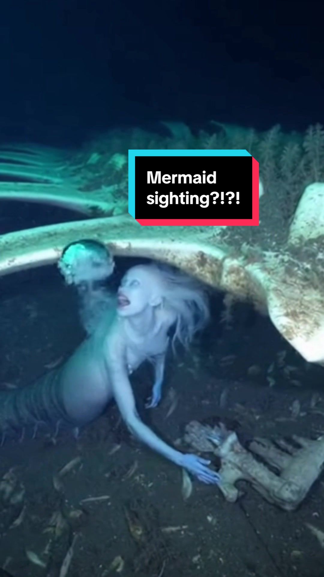 @CryptidClips