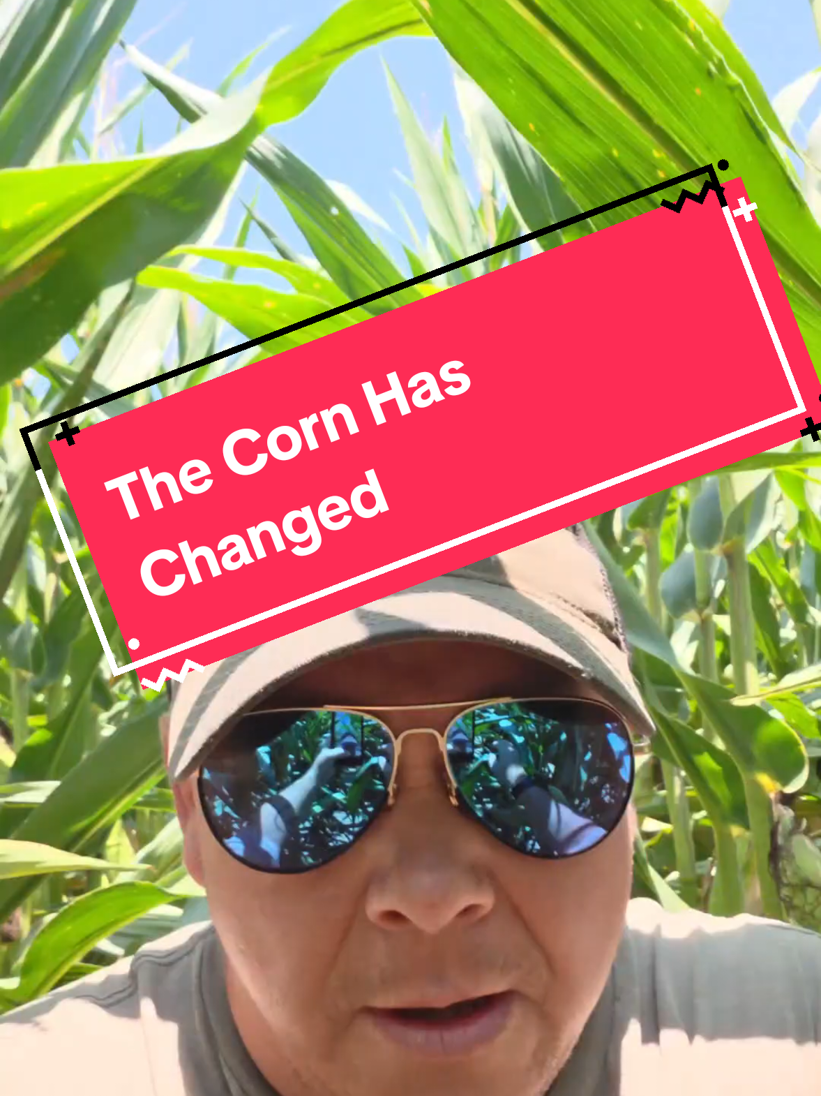 @Bushart Farms