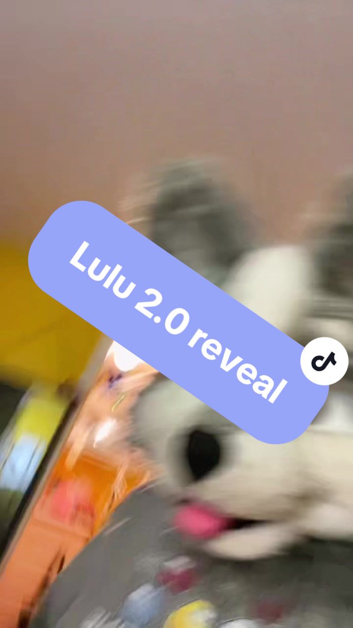 @Lulu the wolf ๐ Megaplex