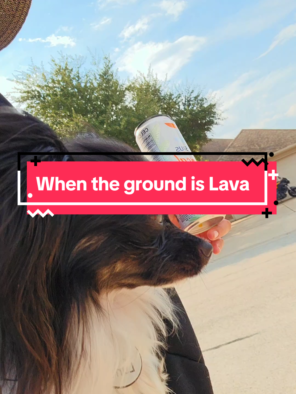 @TheLittleLunaBean