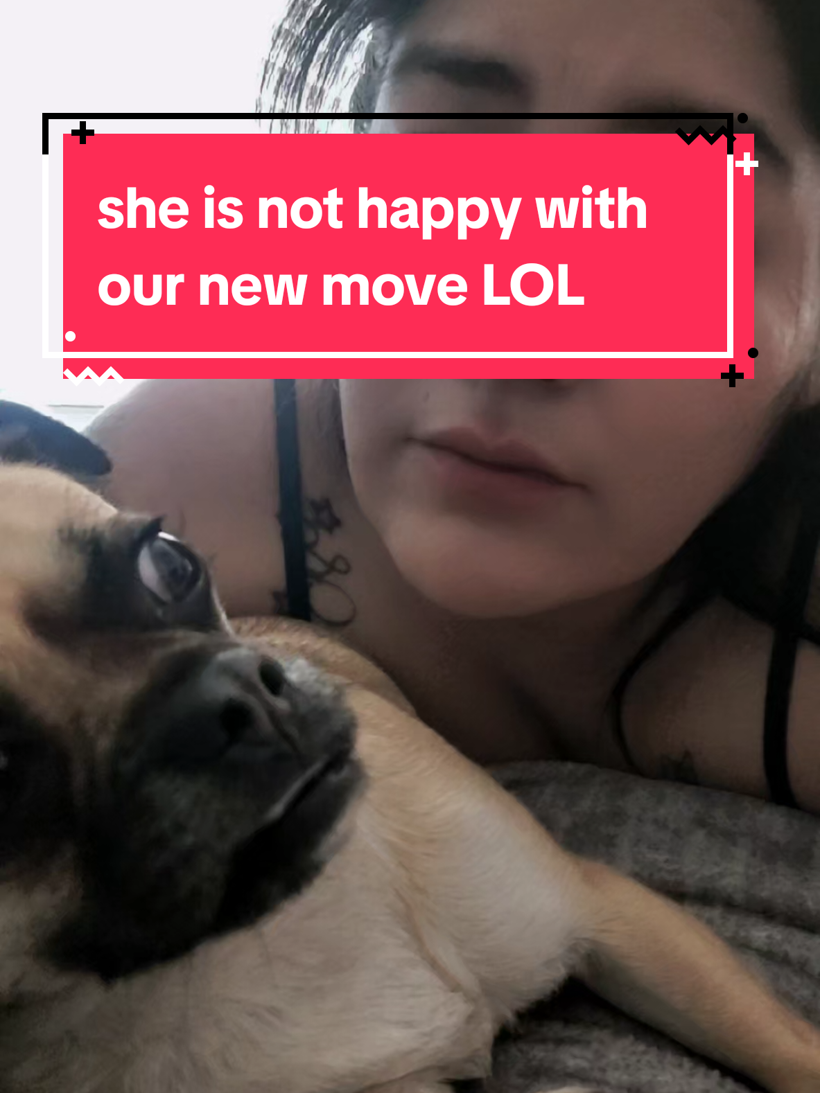 @Memi Marie Spartacus