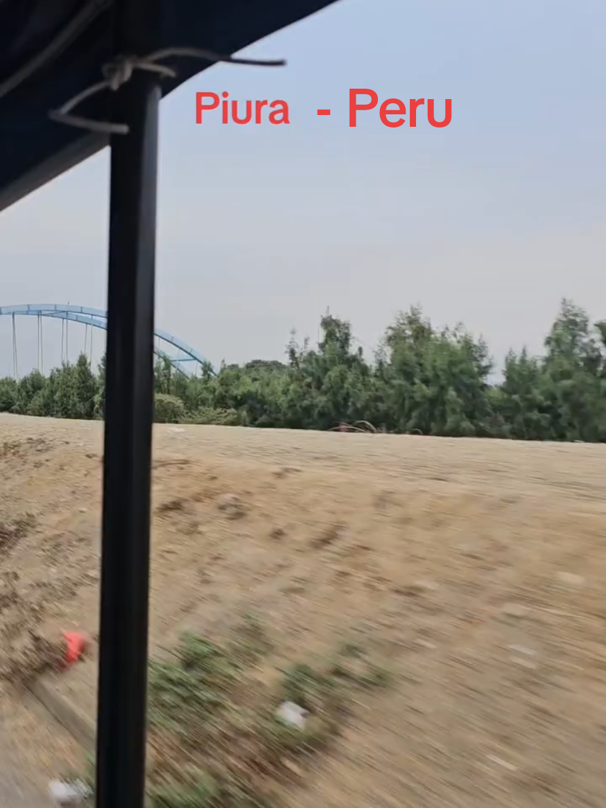 @priscilla
