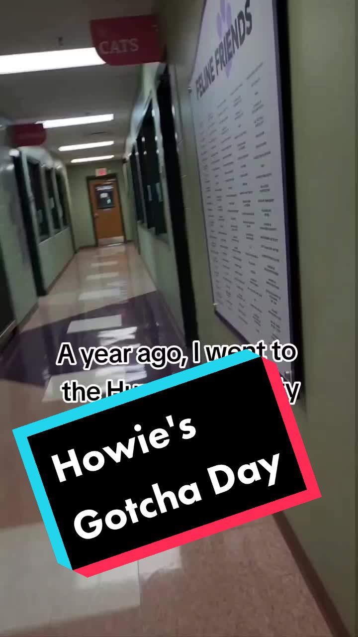 @Lil Lucy In The Sky w/🆘️🇺🇸