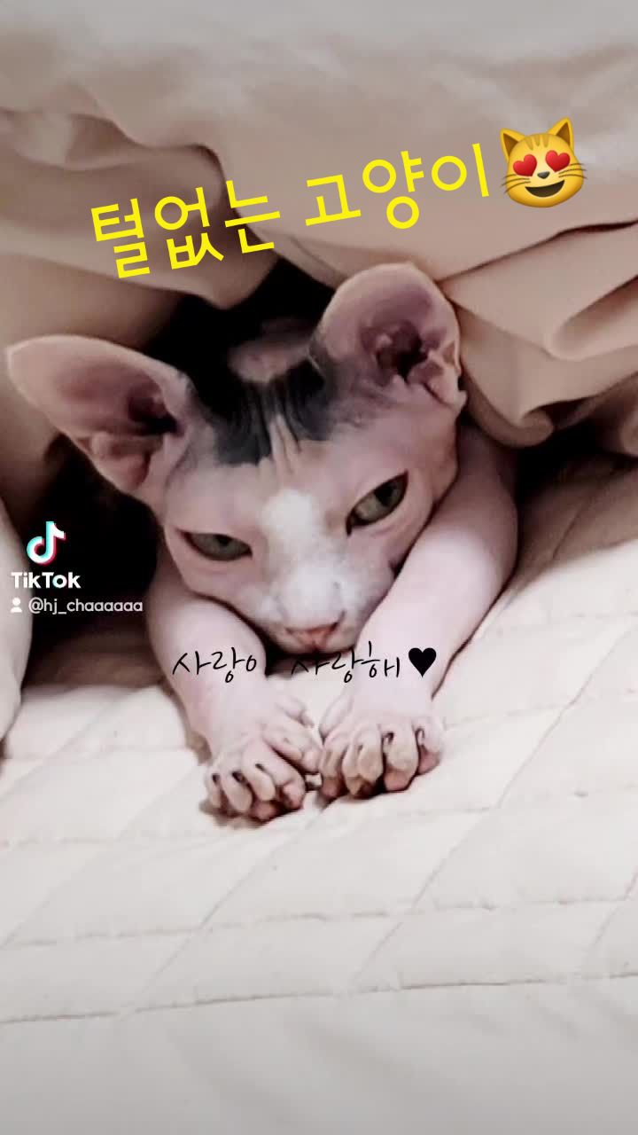 @짠주몬
