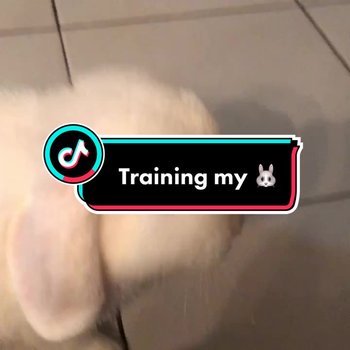 @Arcticbadbunny