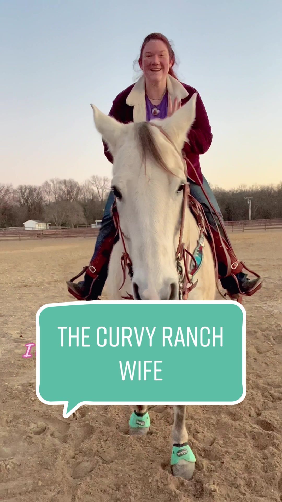 @9 Grey Horses