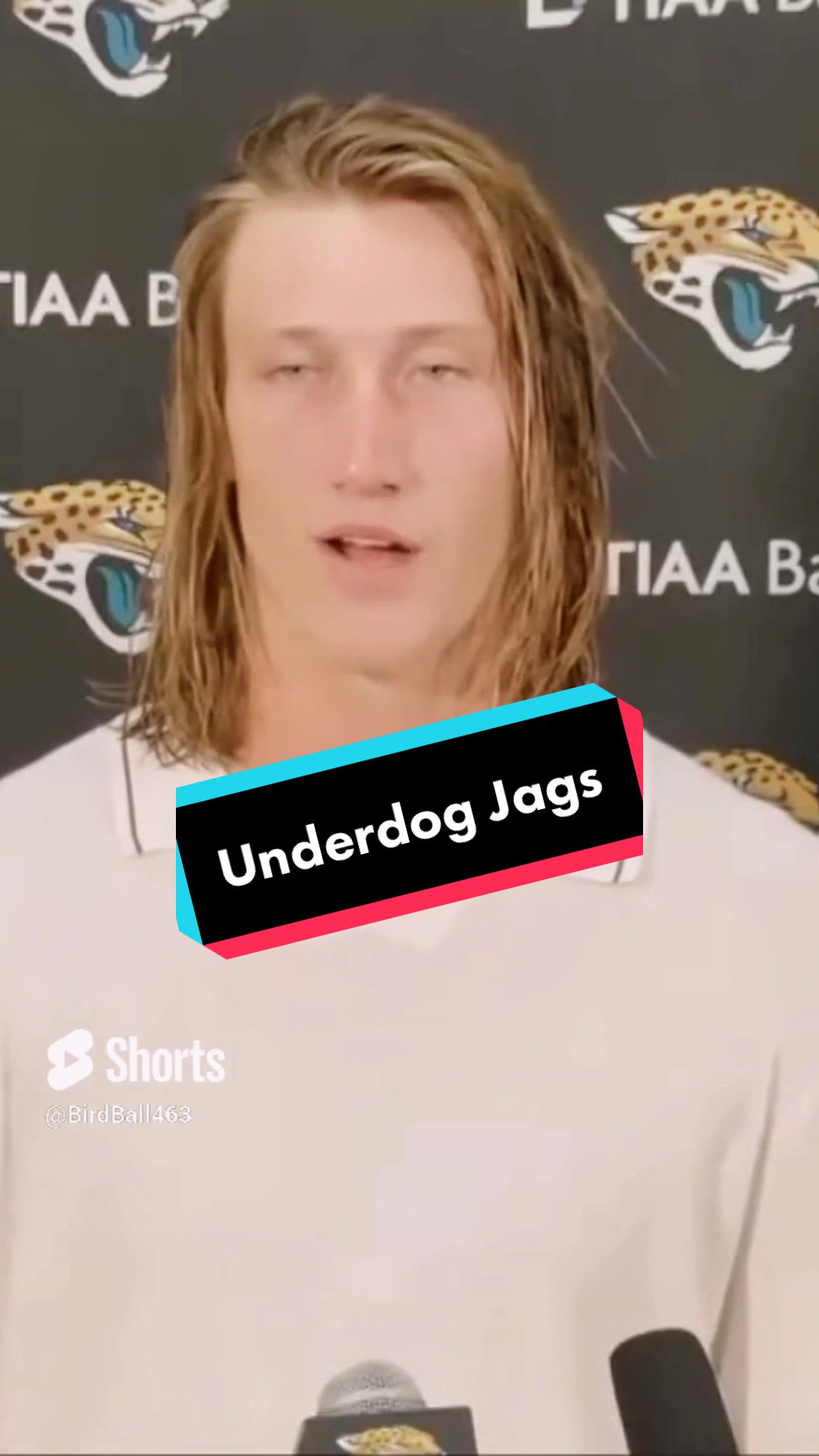 @BirdBall463