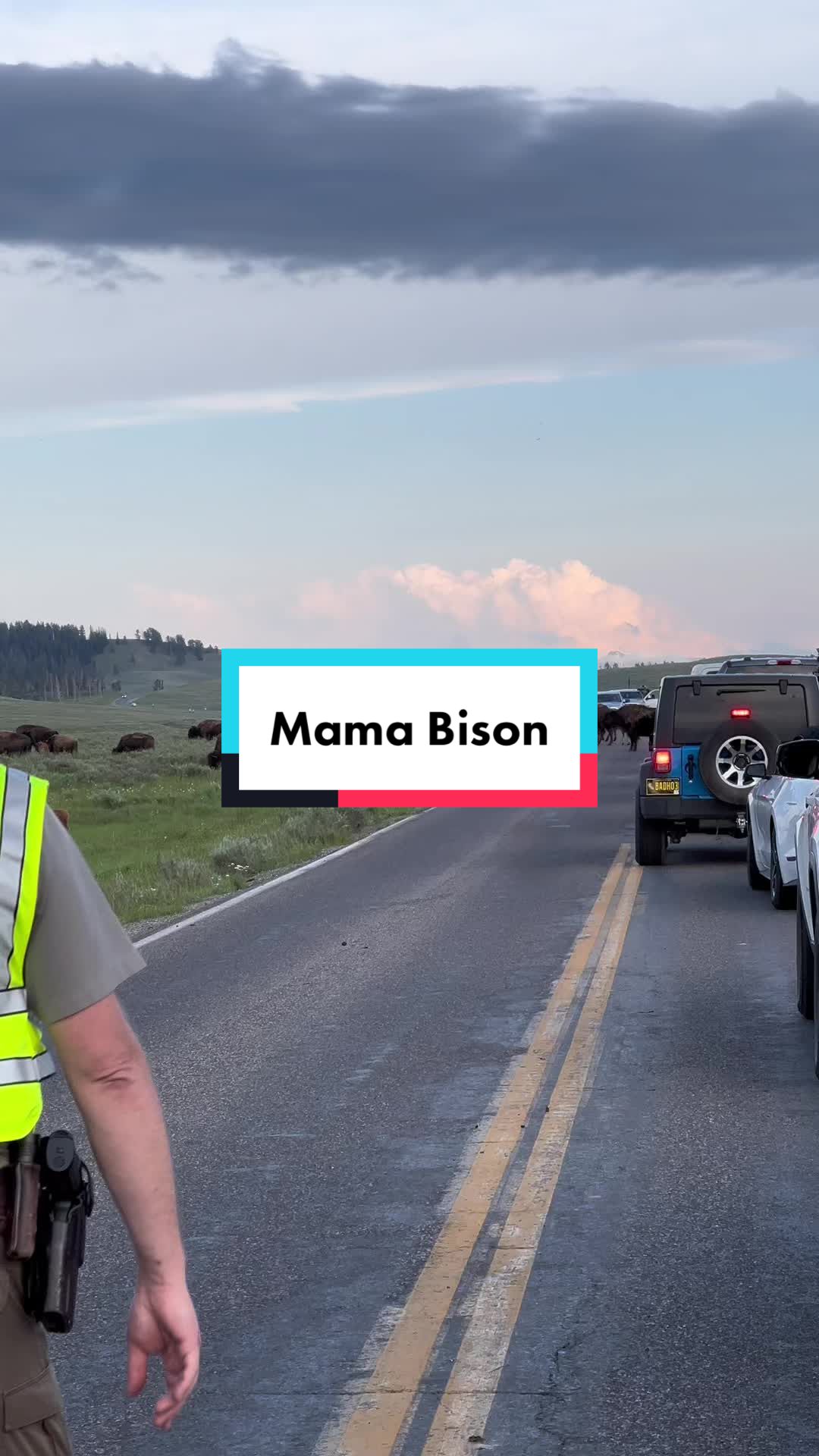 @BManWhiterockandMom
