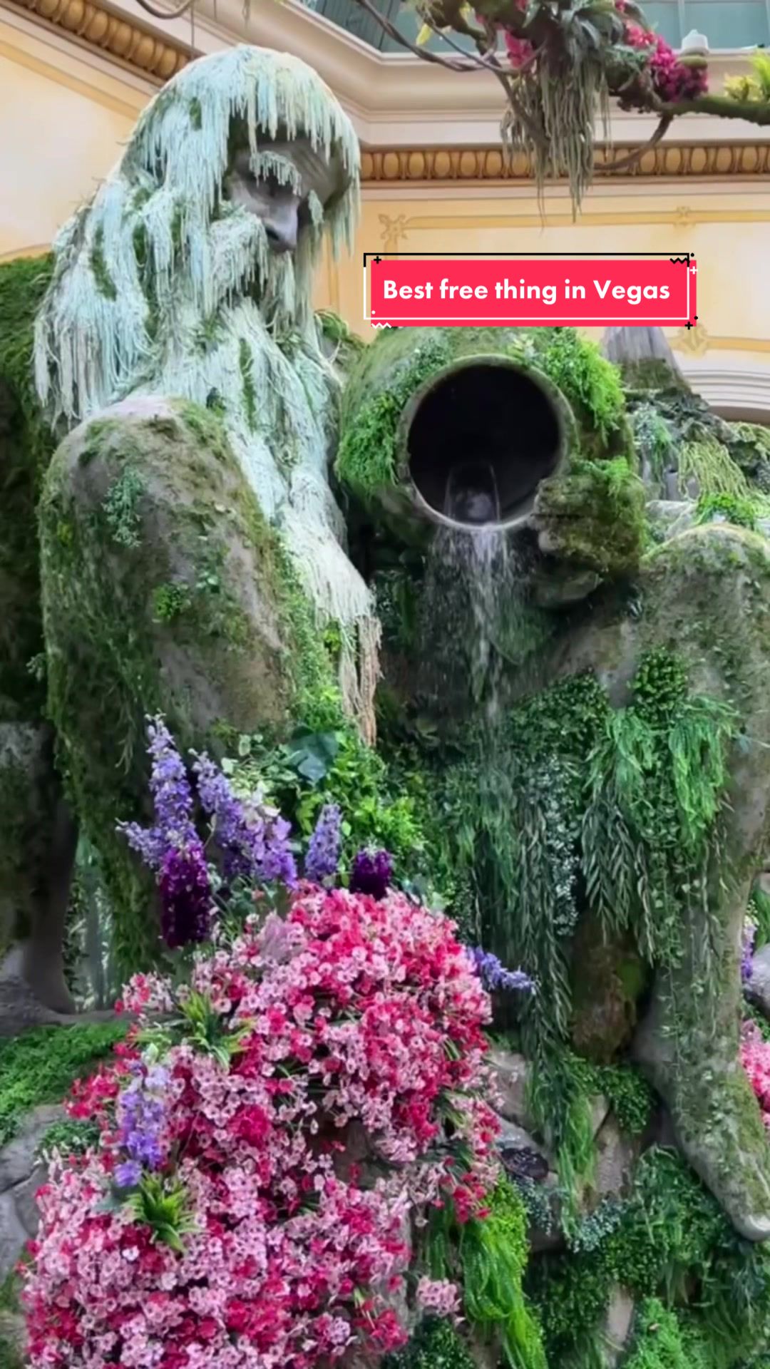 @Plants of Worth