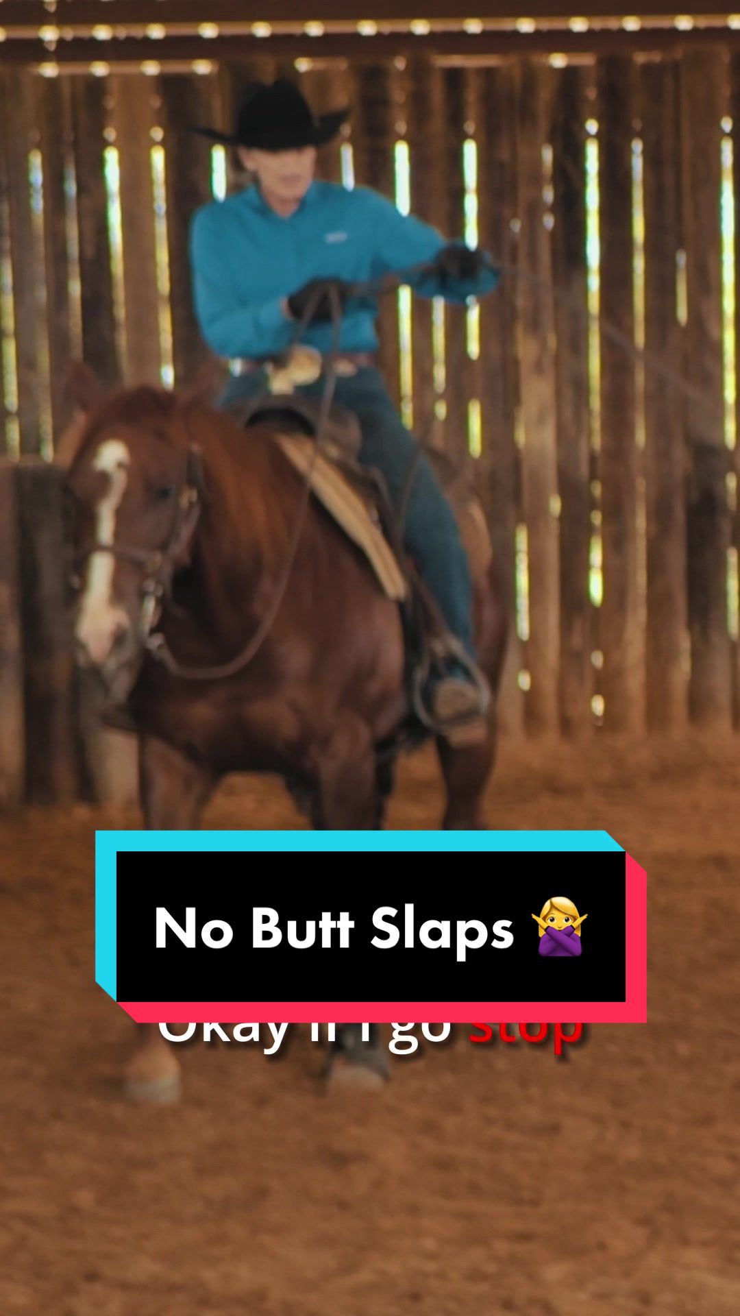 @Fit Equine