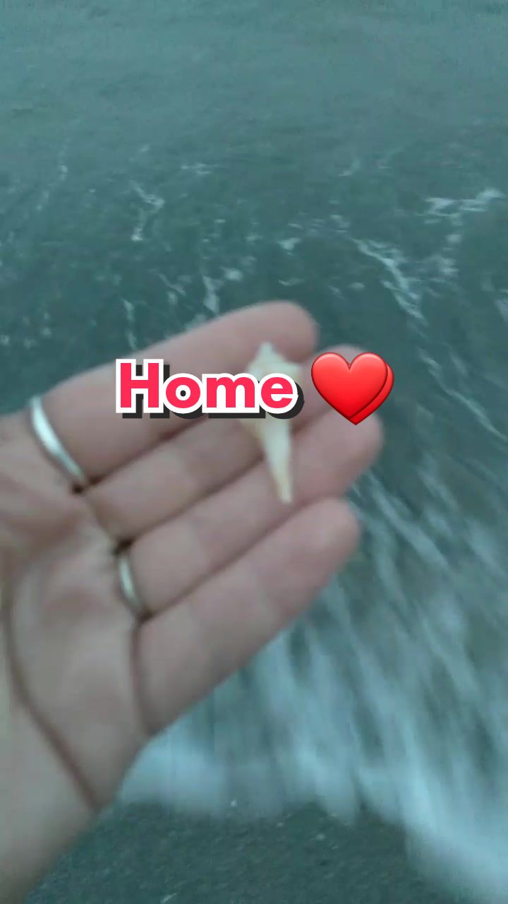 @Mermaid Flowers🧜&zwj;♀️🐚