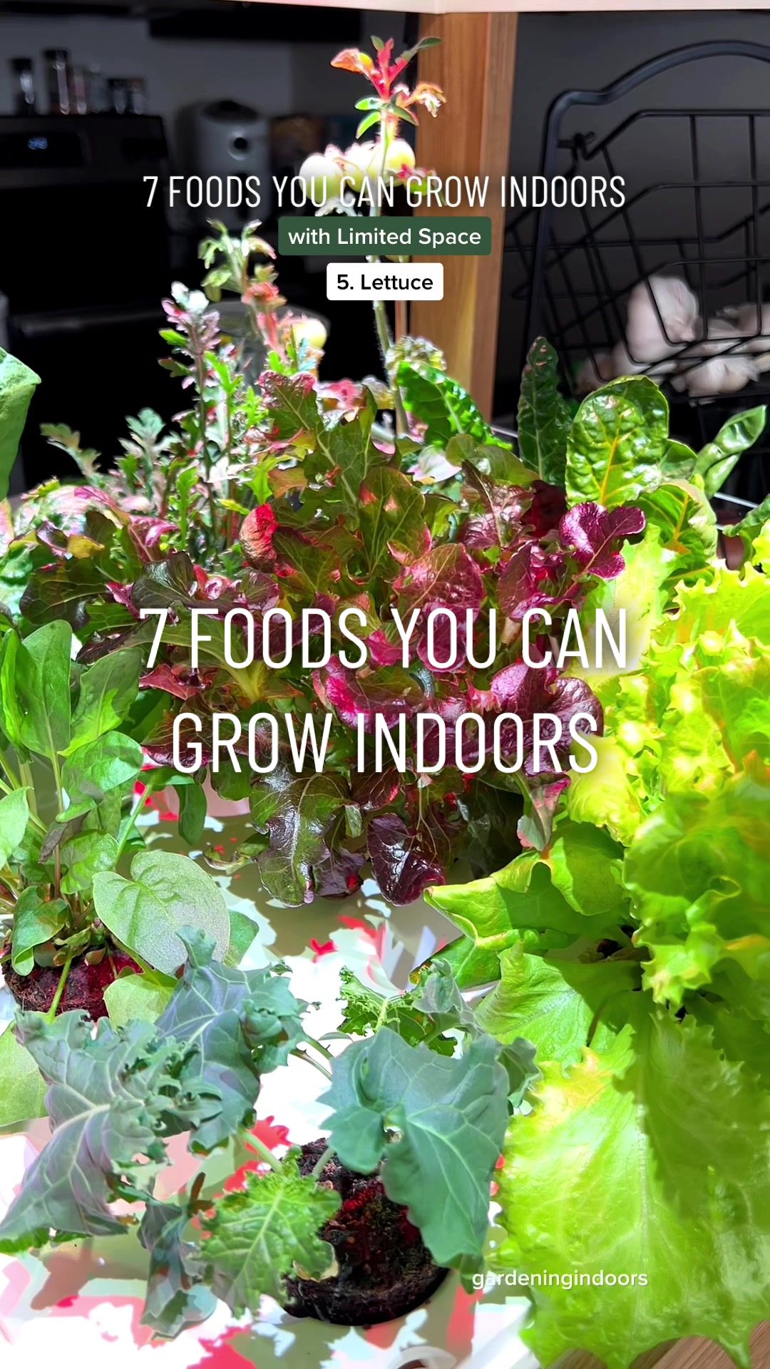 @gardeningindoors
