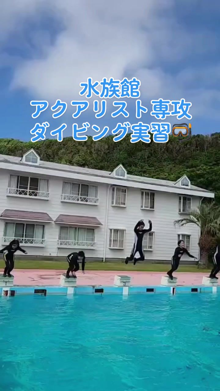 @TCA東京ECO動物海洋専門学校