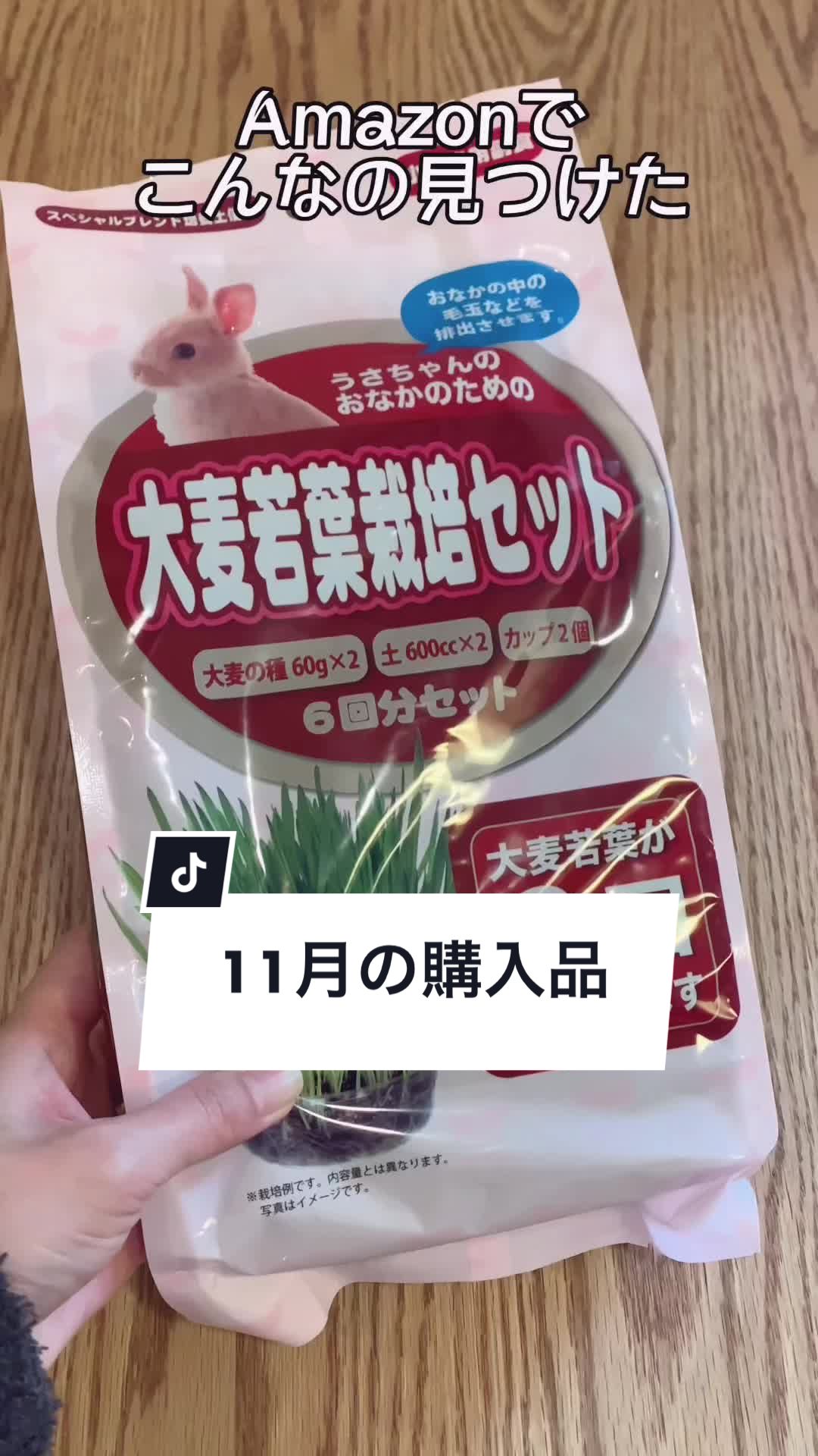 @うさぎと暮らす田中