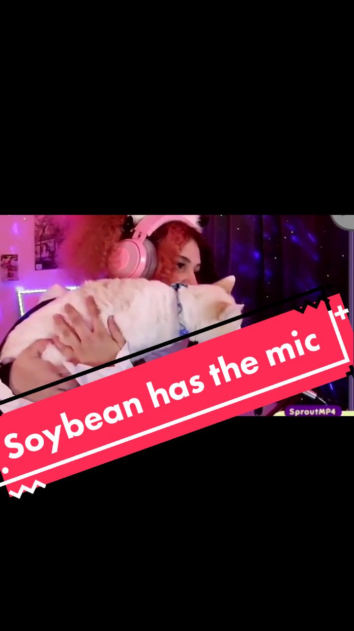 @Mimi Mouse