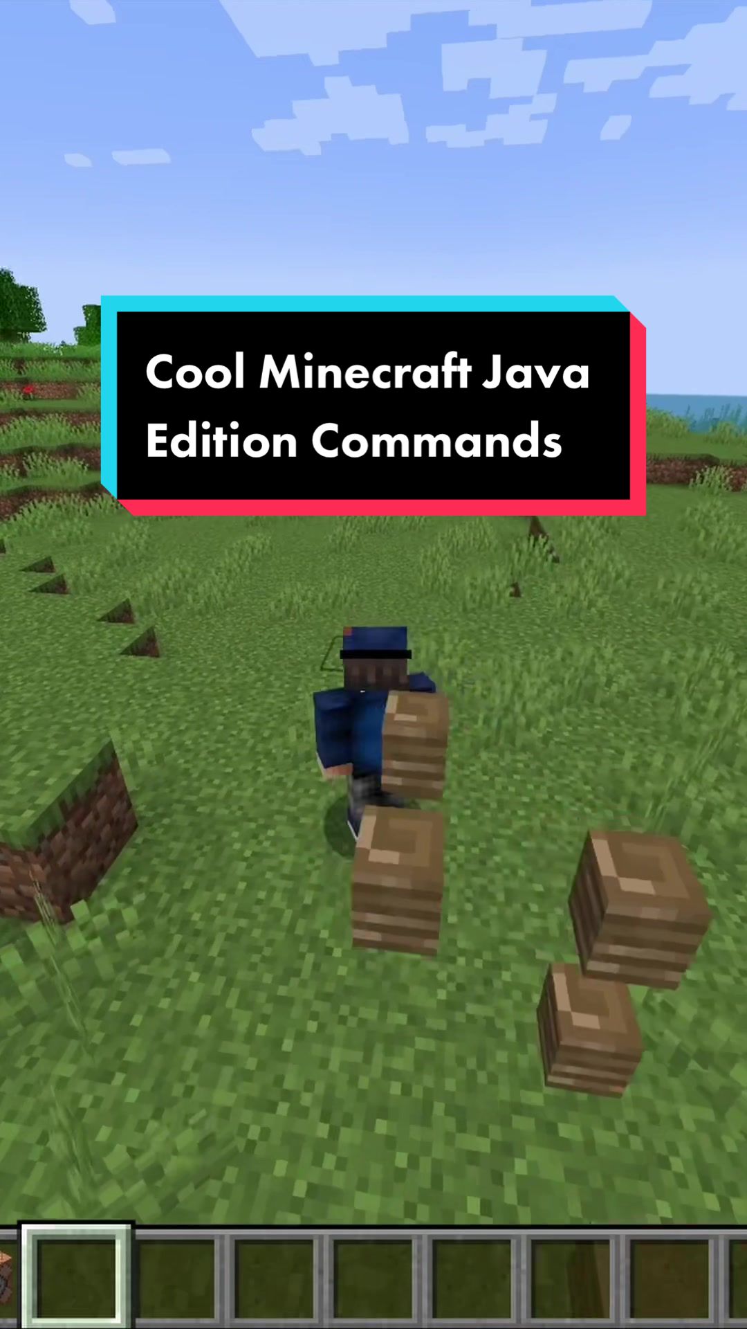 @Minecraft Java Edition