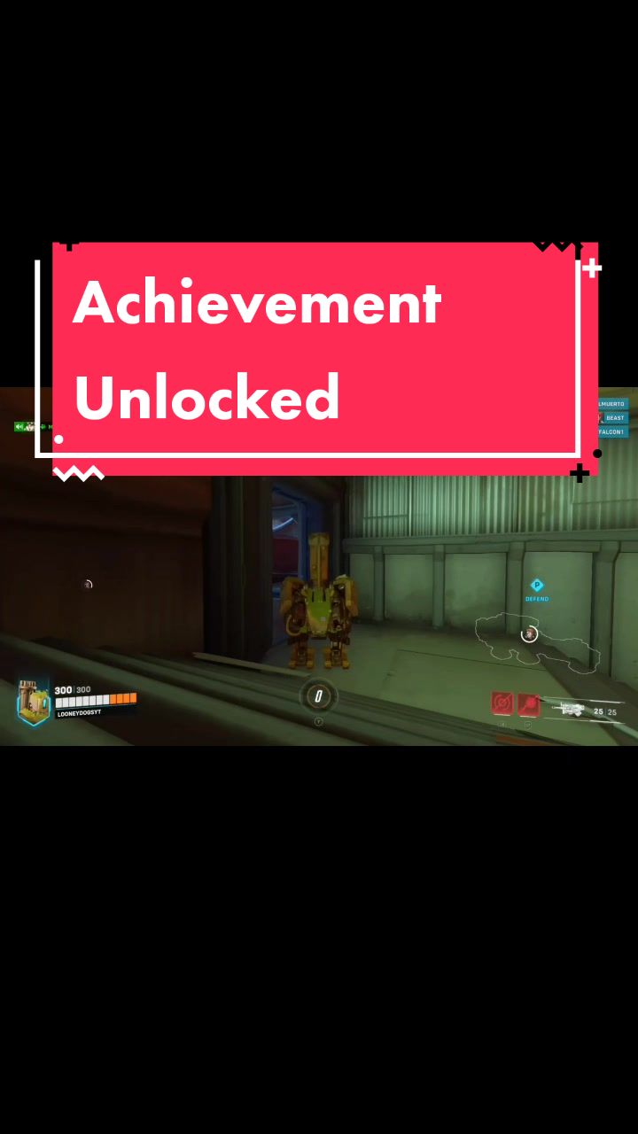 @LooneyDogsGaming