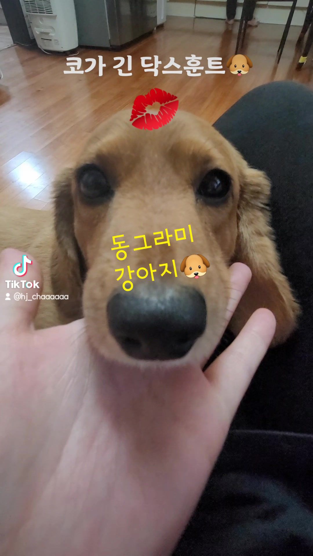 @짠주몬
