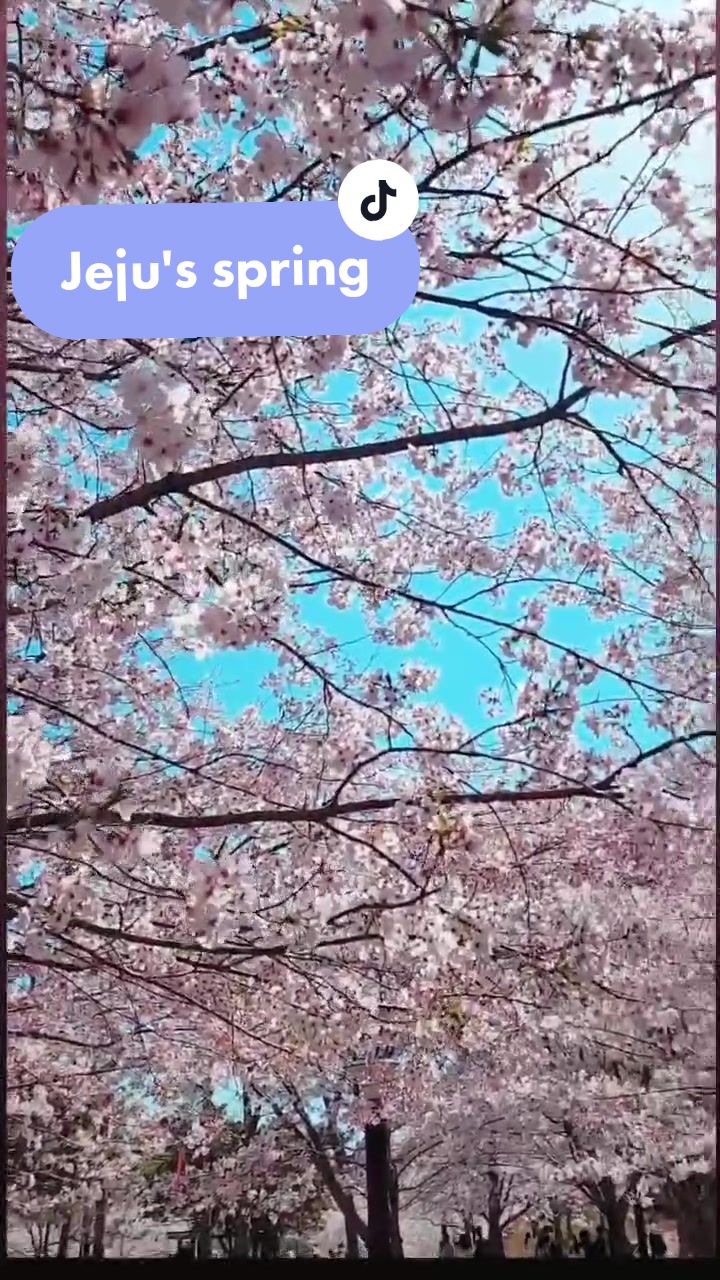 @Aisha Abroad