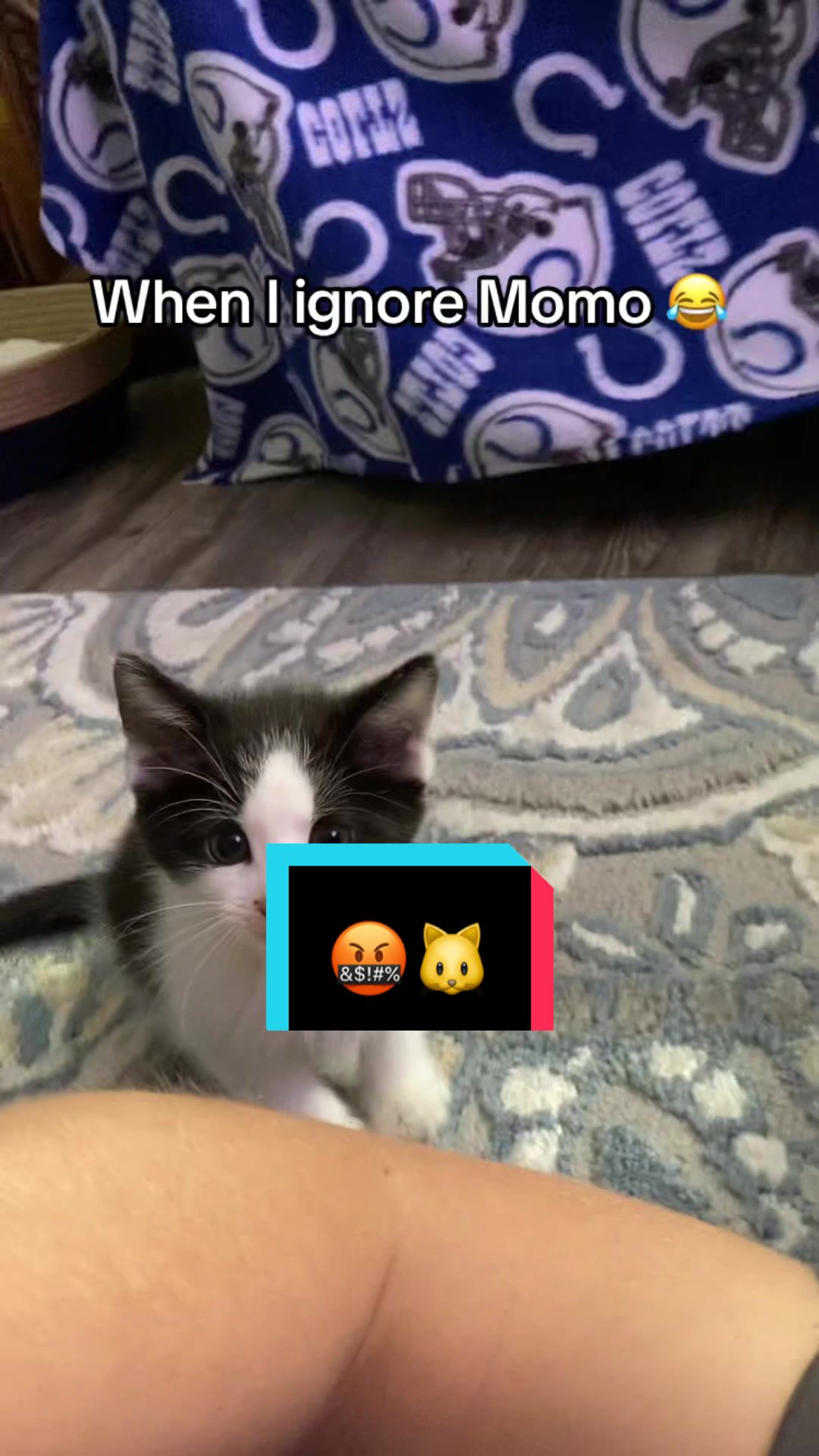 @Matthew🐺
