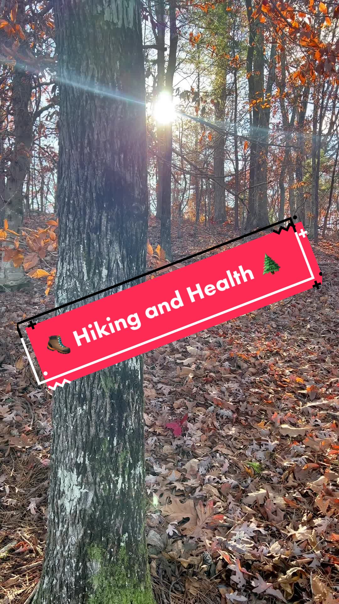 @DeWolfeInTheWoods