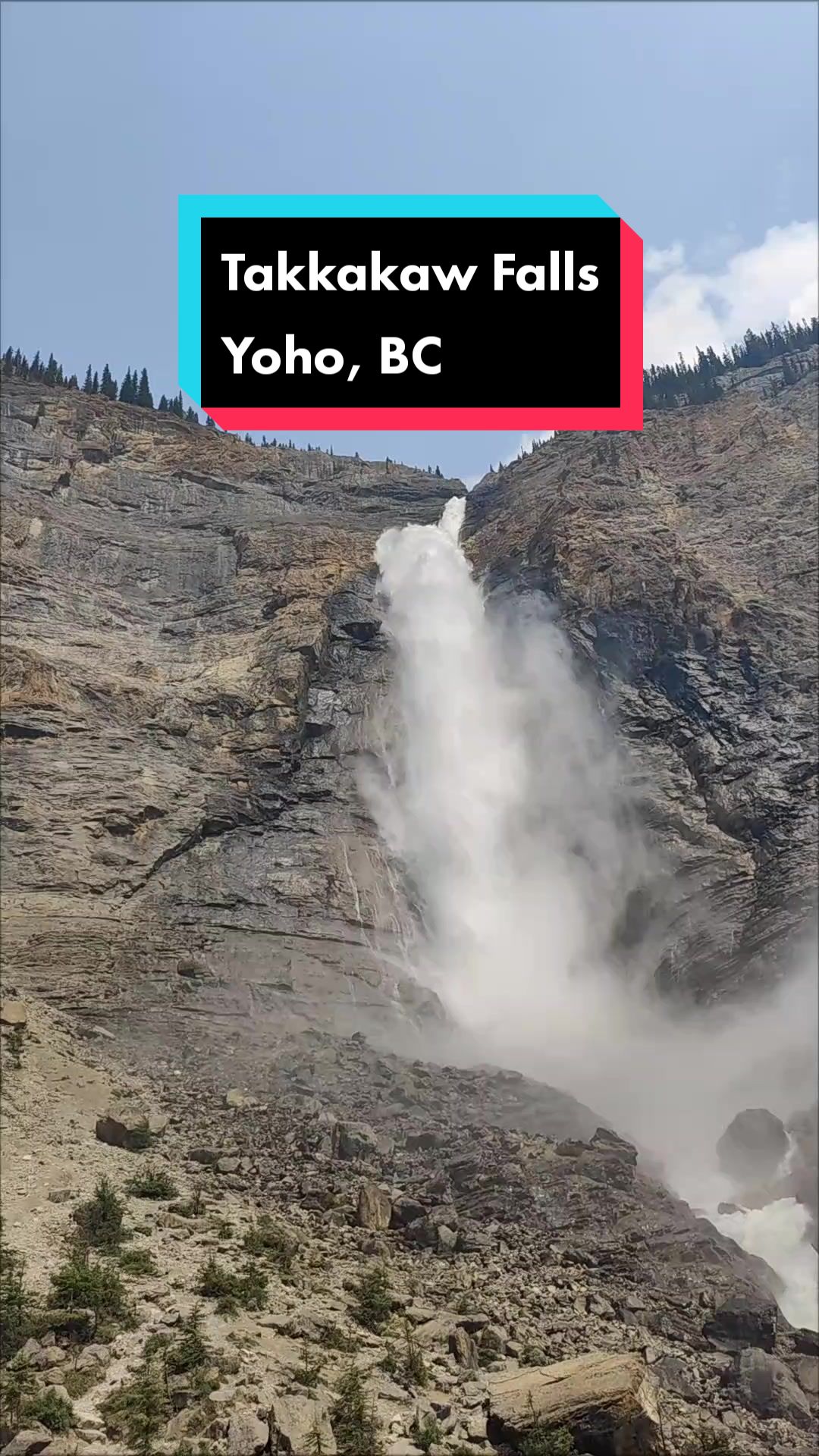 @GrizzlyBarbarian.com