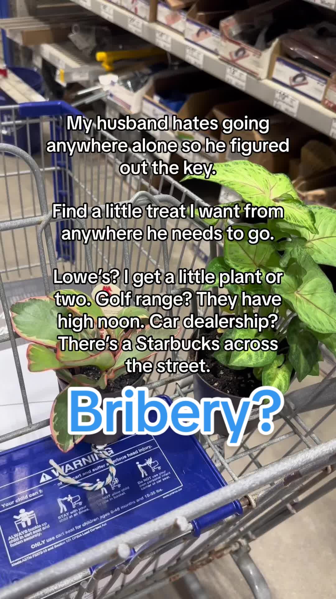@Korra-Shay