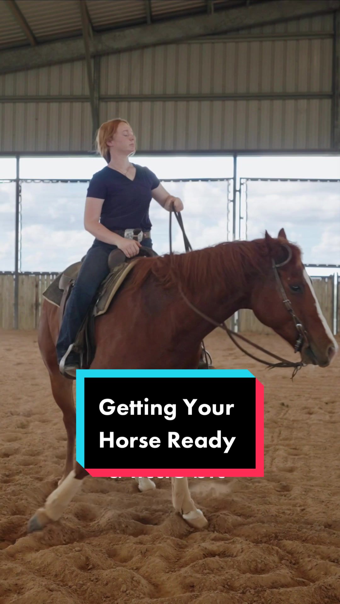 @Fit Equine
