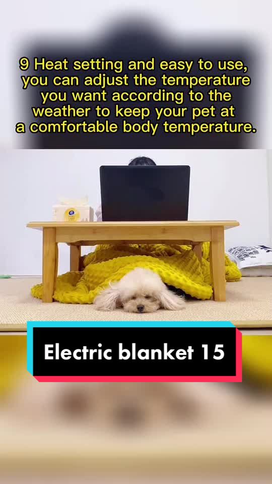 @Electric blanket factory