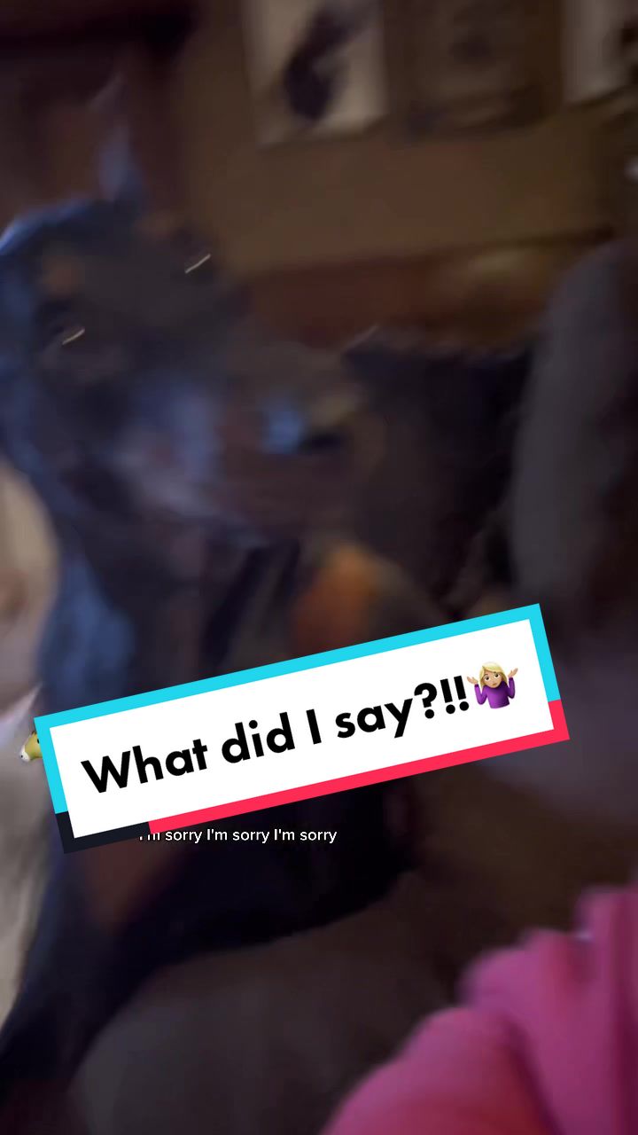 @Tiny Bear & Tiny Horse