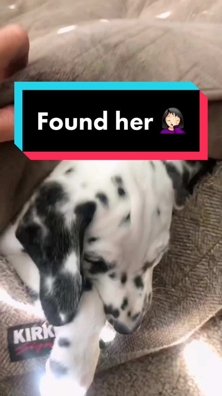 @katya