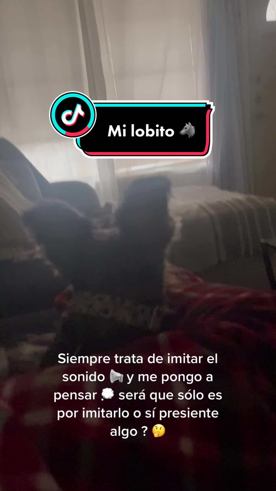 @🐶🐾