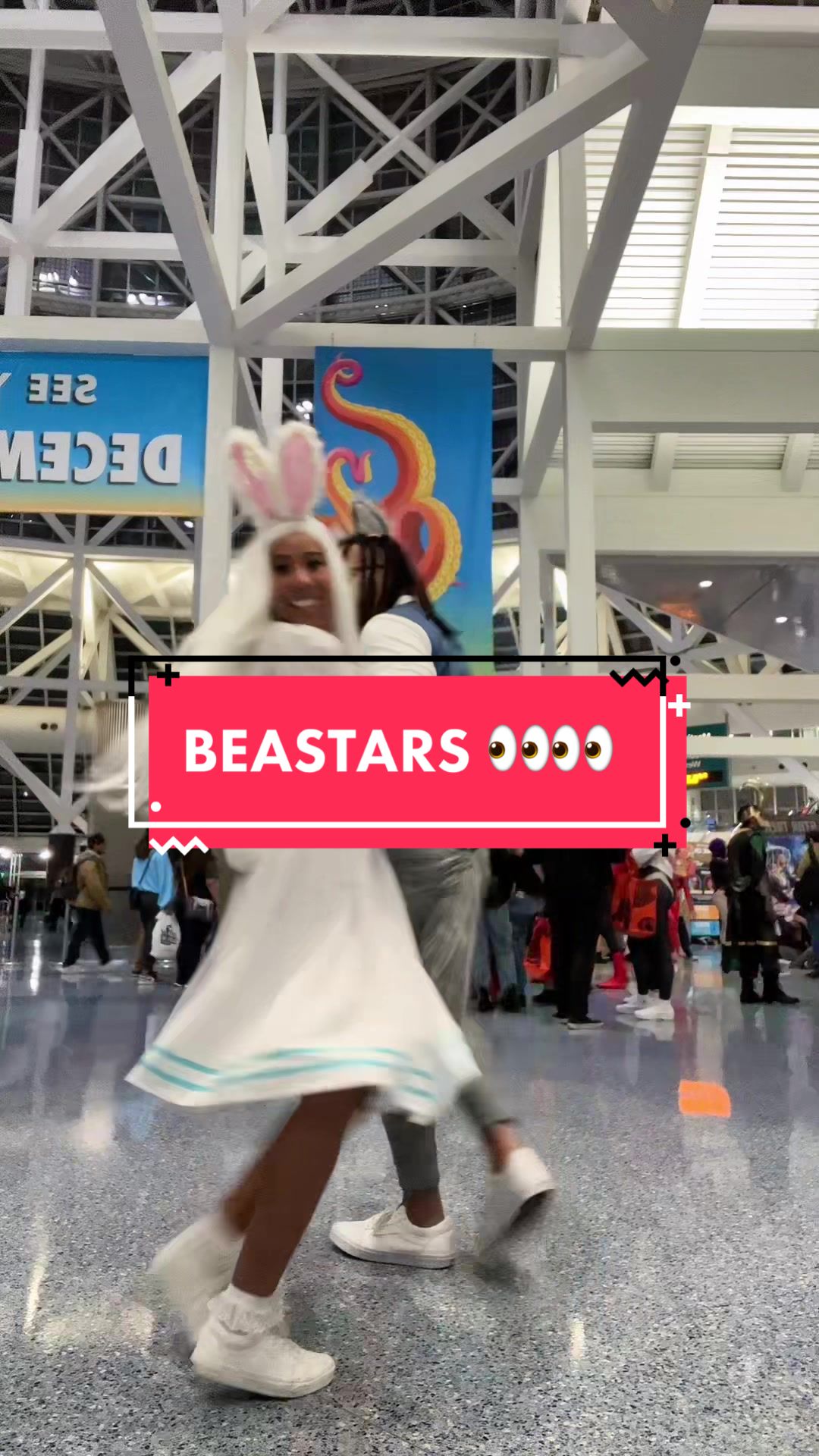 @Chaos-Chan ✨