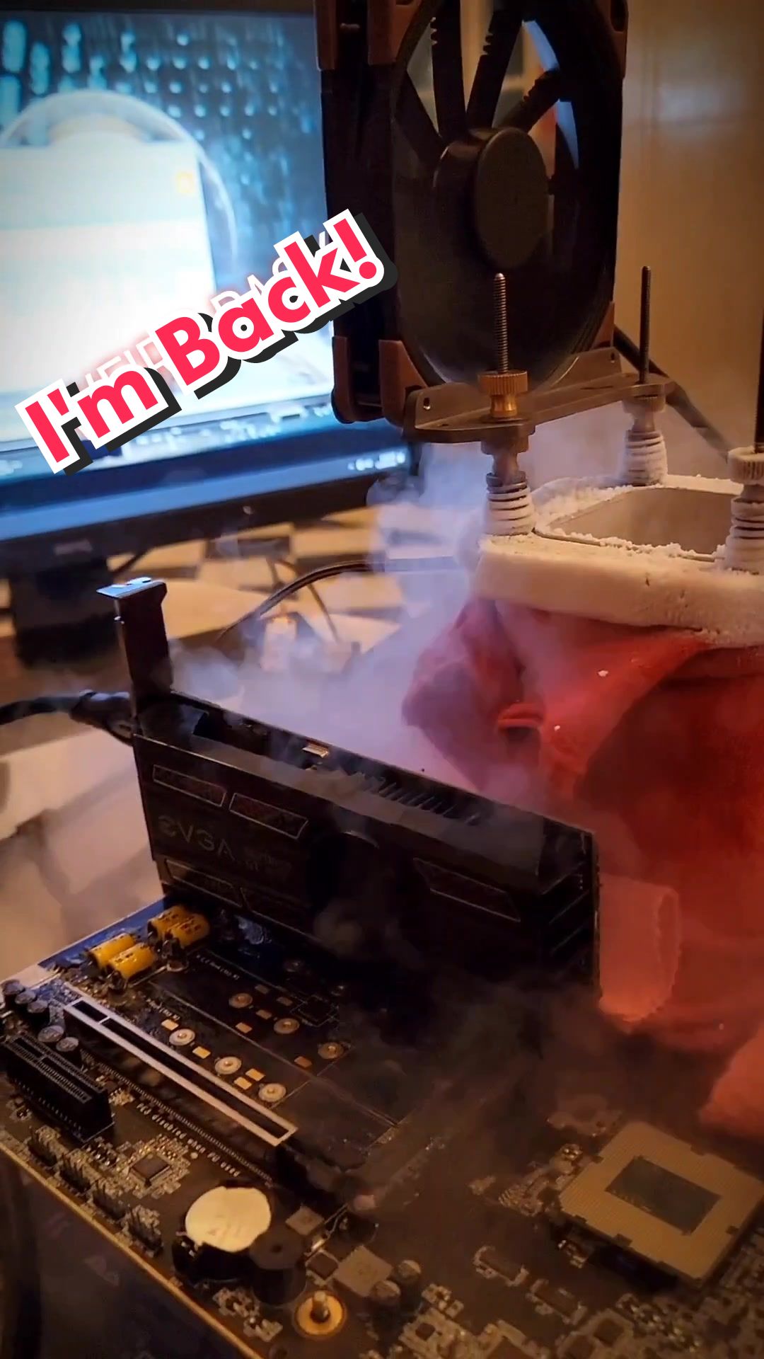 @Thebloodslugxoc