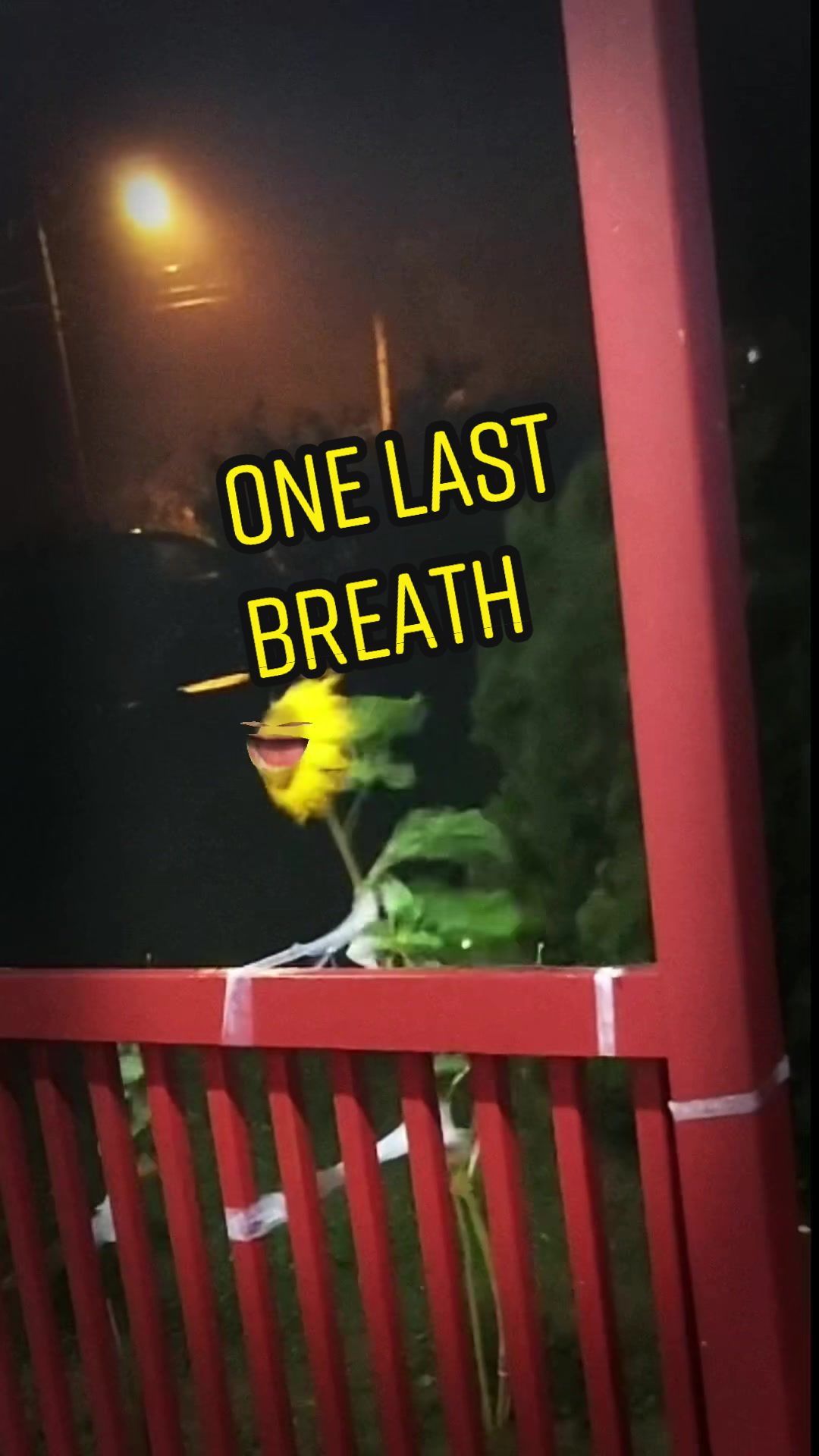 @Craig