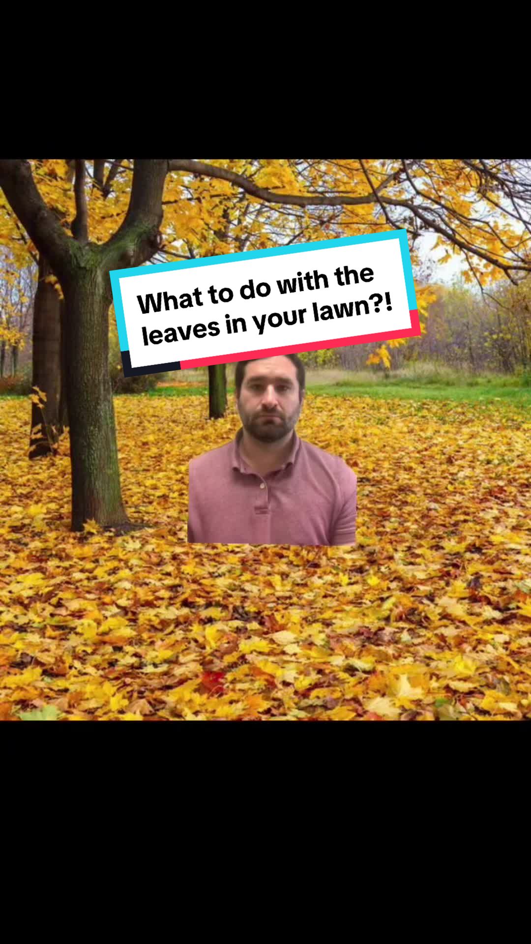 @Twincityseed