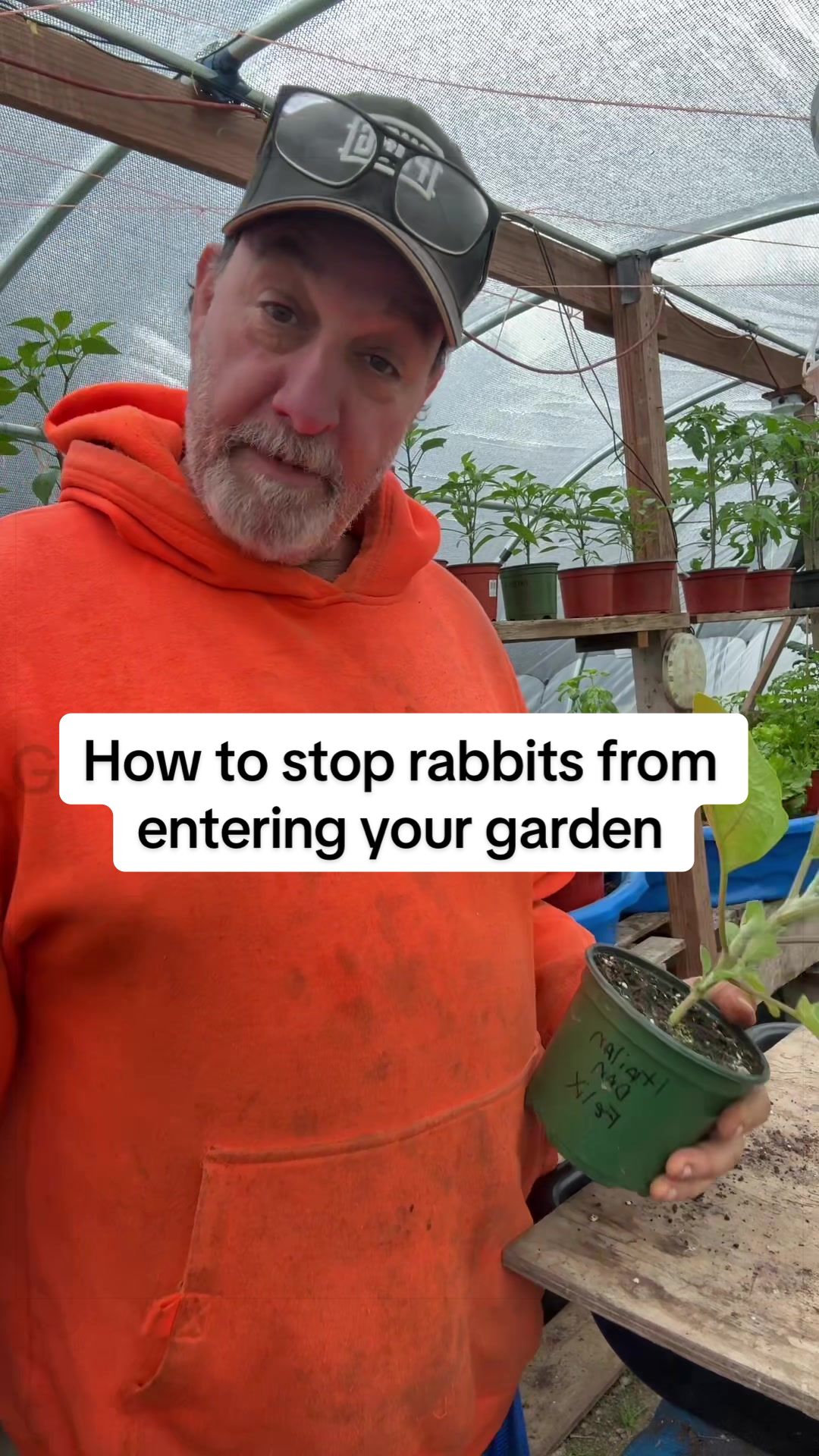 @GROWING_EDIBLE_PLANTS