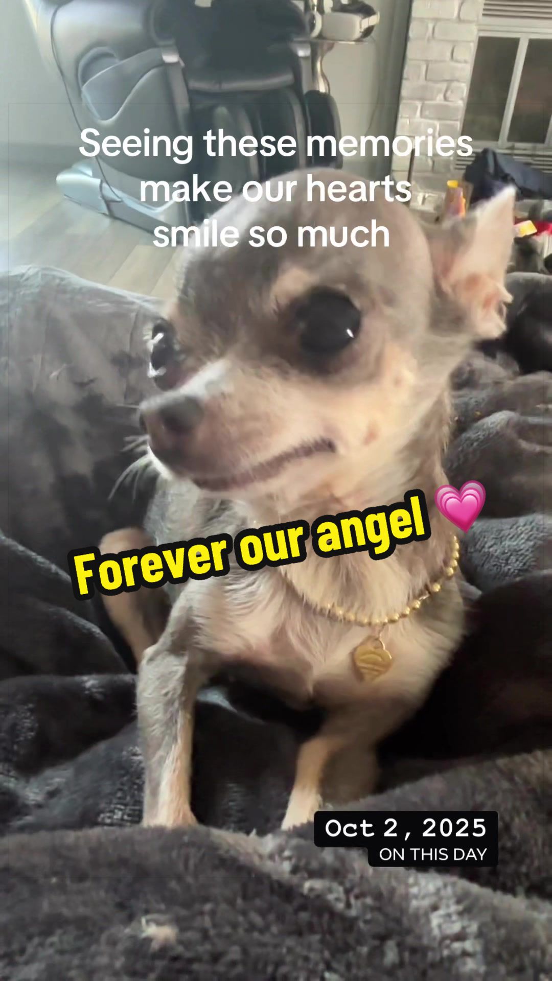 @Tiffys Angels Foundation