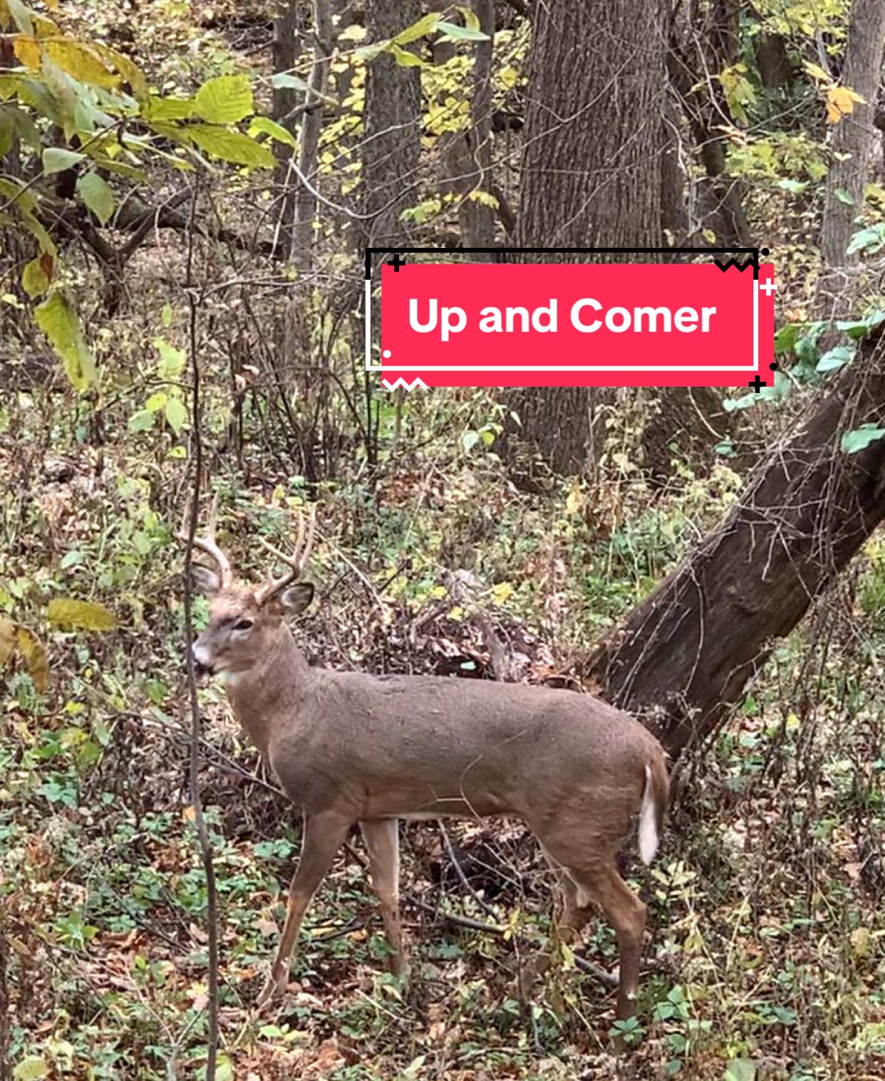 @The Corridor Outdoors