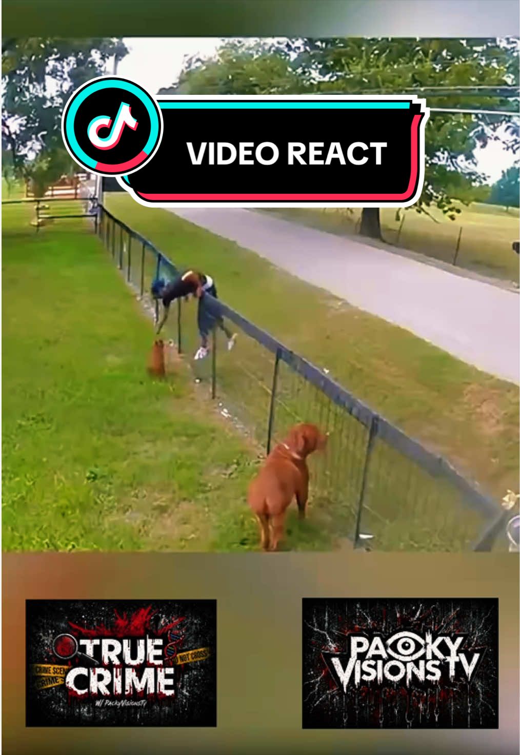 @PackyVisionsTv🔒⏰🕊️