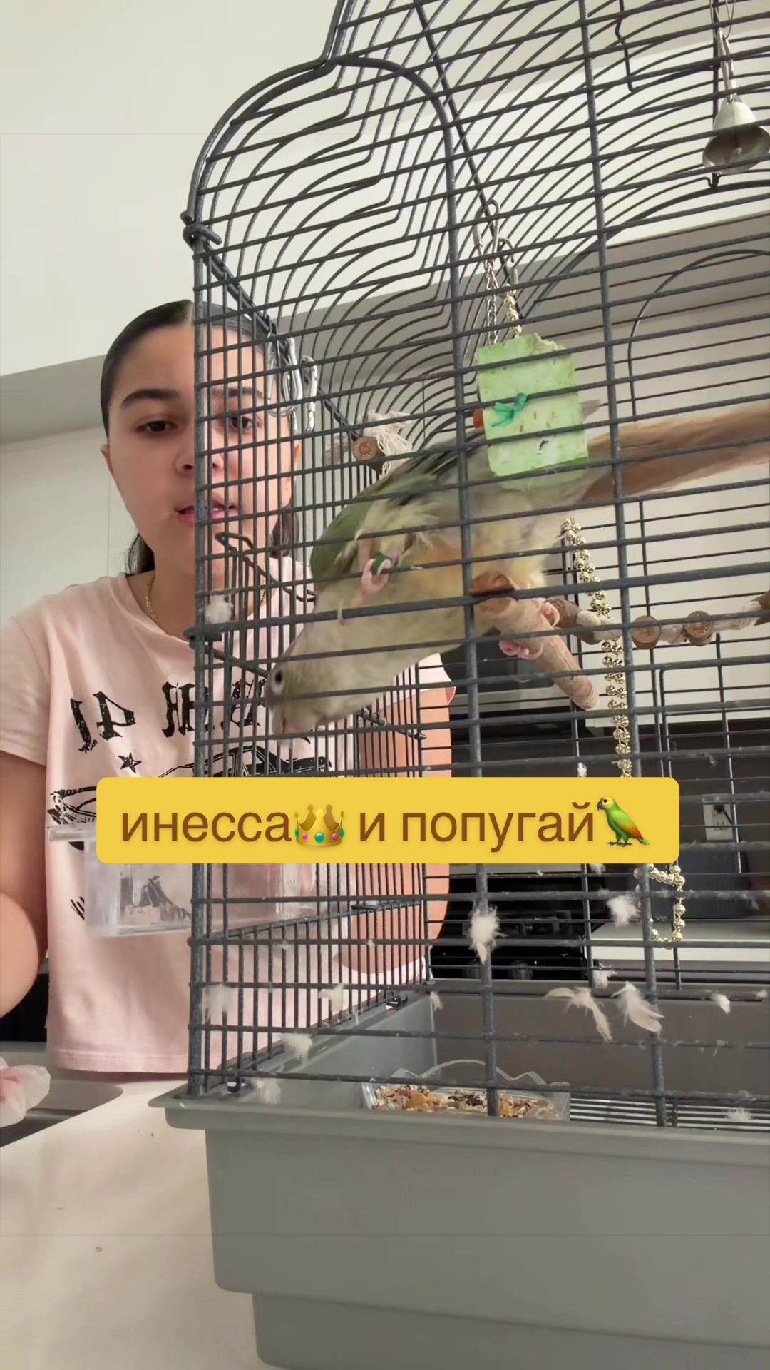 @Indyushka