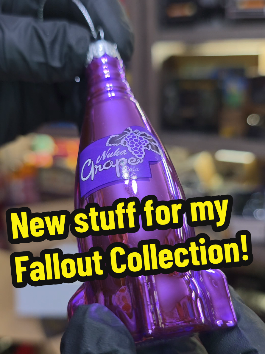 @☢️The Fallout Collector☢️