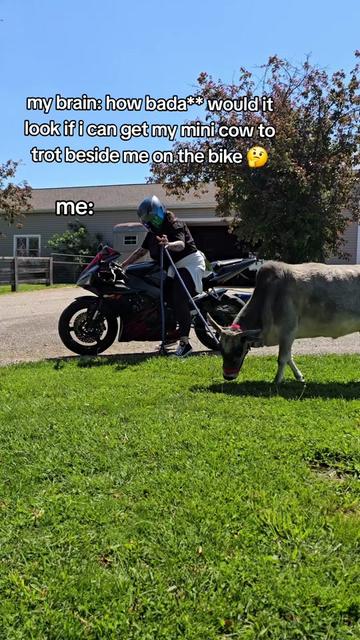@Glty*Plsre