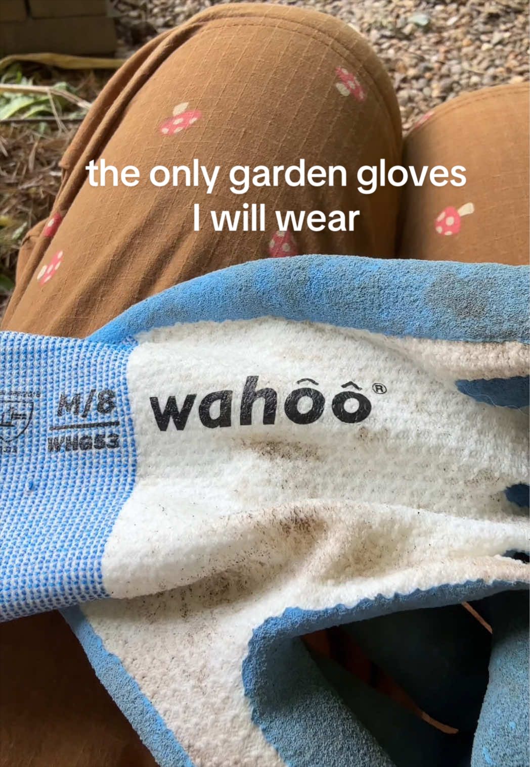 @The Ever Hopeful Gardener